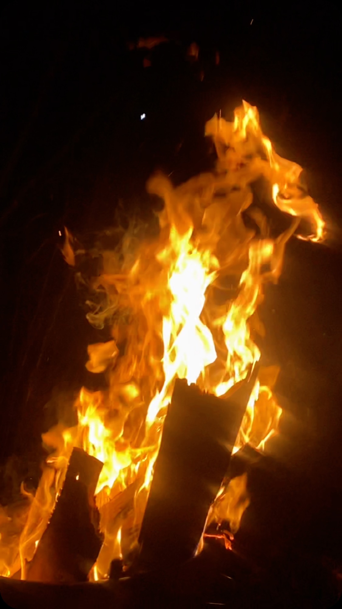 𝙲𝚊𝚜𝚝 𝚒𝚝 𝚒𝚗.