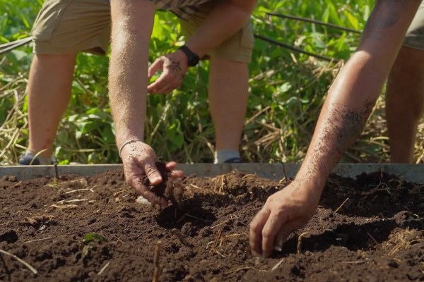 Image of hands turning over compost in a garden